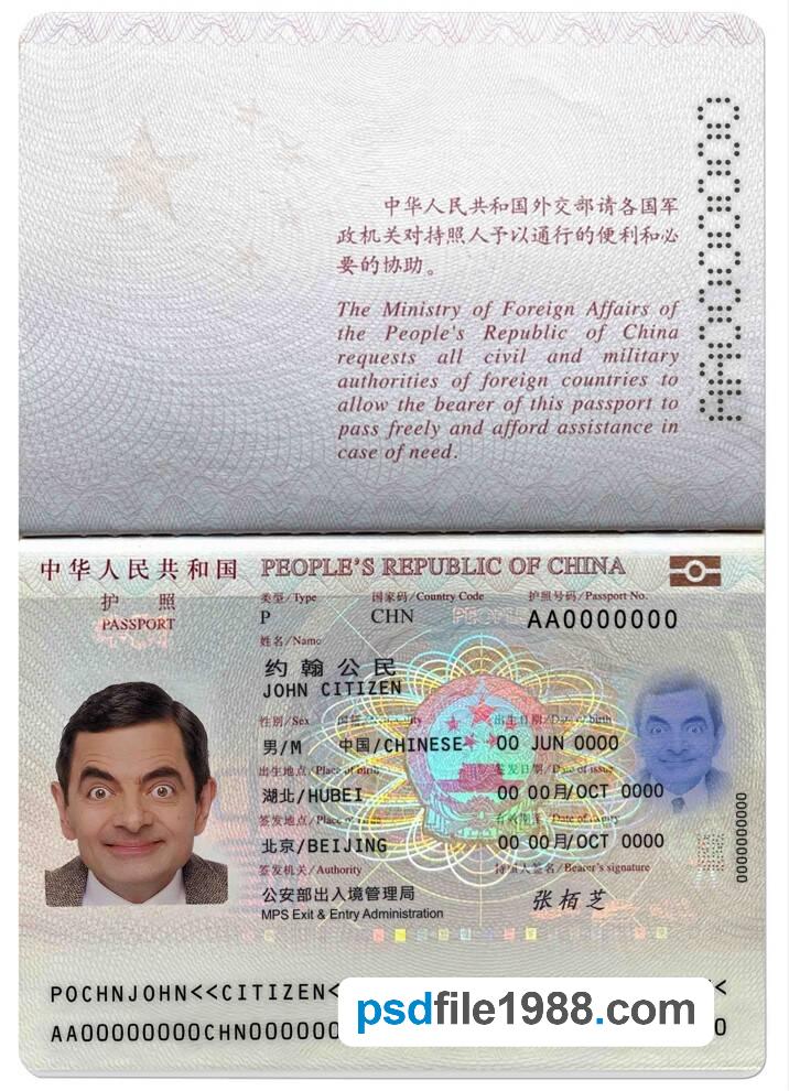 China Passport 2013-Present